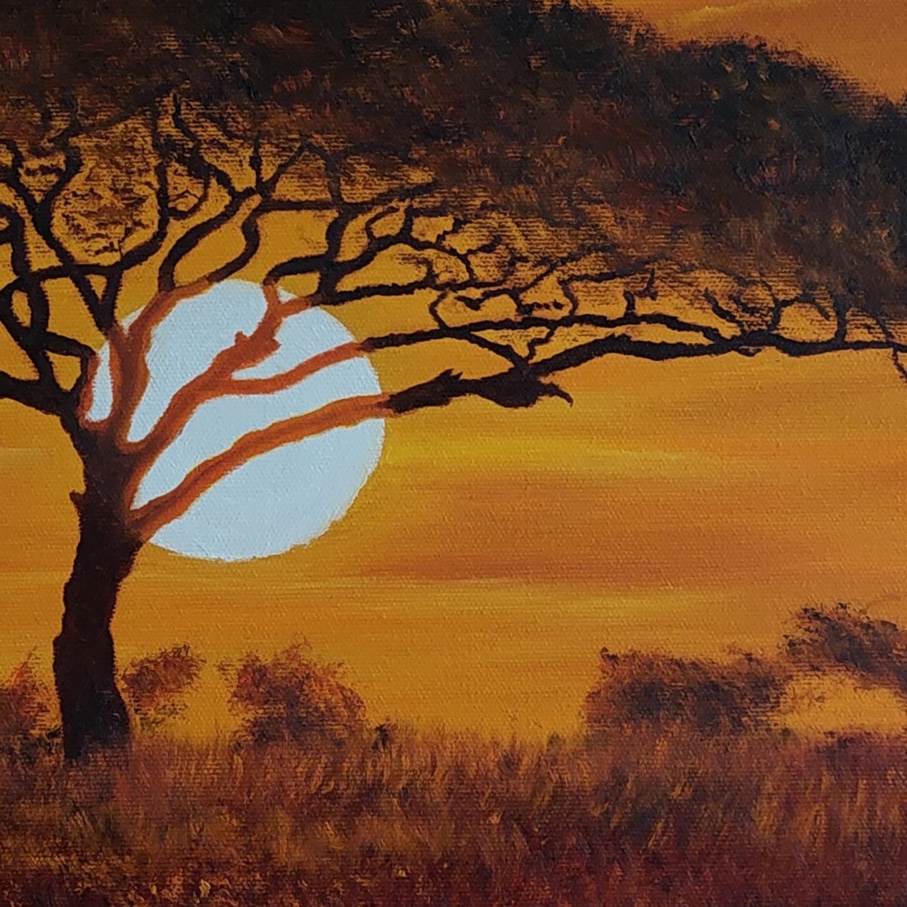 Africký kotouč_olejomalba na plátně_60x40 cm