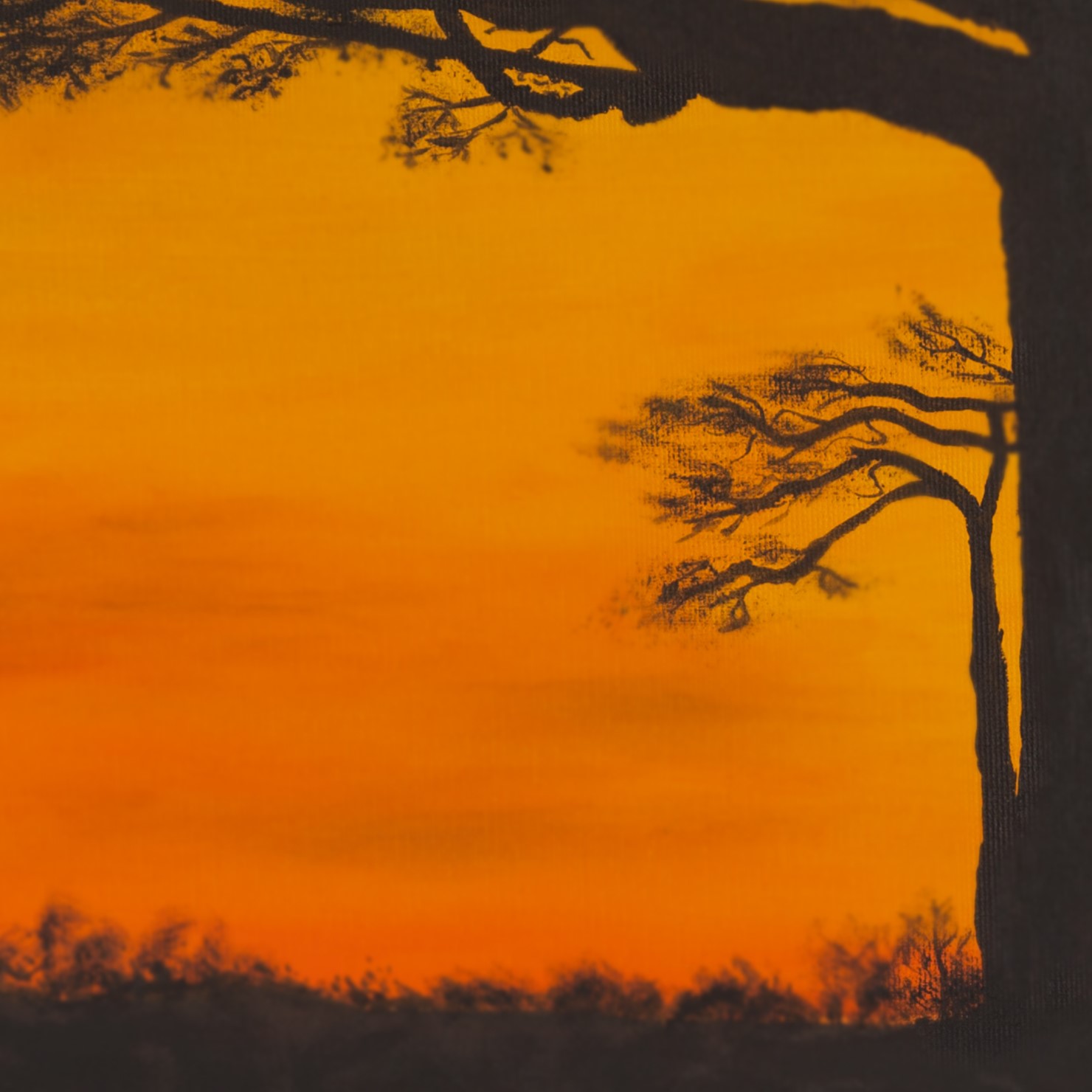 Tanzanské kvarteto_detail