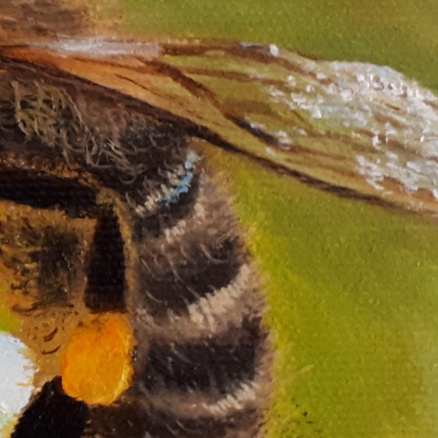 Včelka Mája_detail